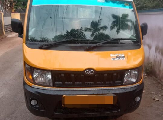 Supro minitruck 2019 model