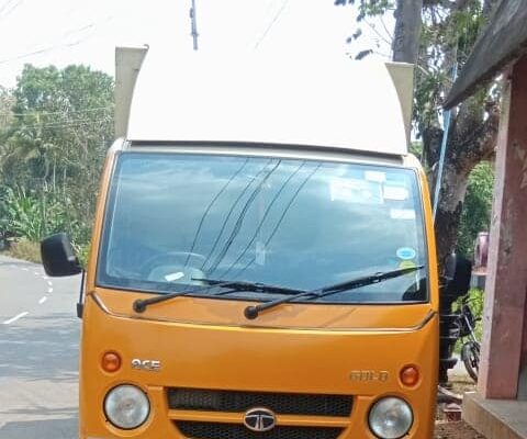 Tata ace gold (petrol) 2021 Model