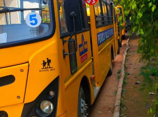 School Bus Sale